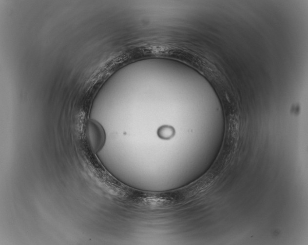 X0000115430650200911181502