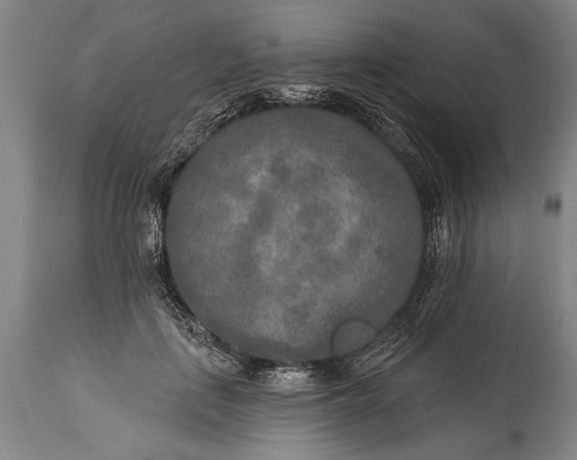 X0000115430651200911181502