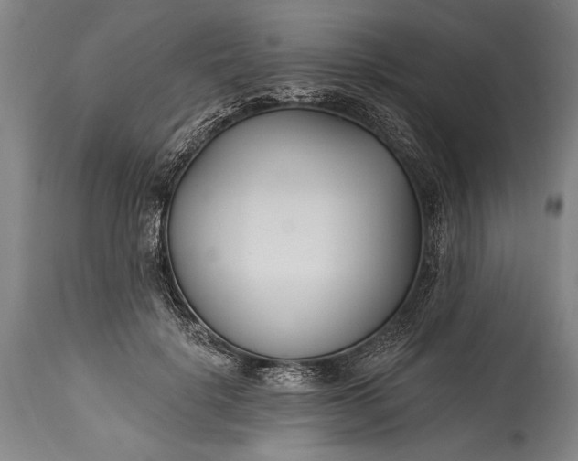 X0000115430652200911181502