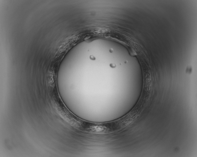 X0000115430654200911181502