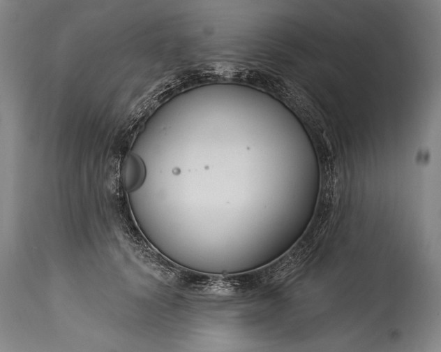 X0000115430656200911181502