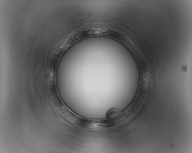 X0000115430657200911181502