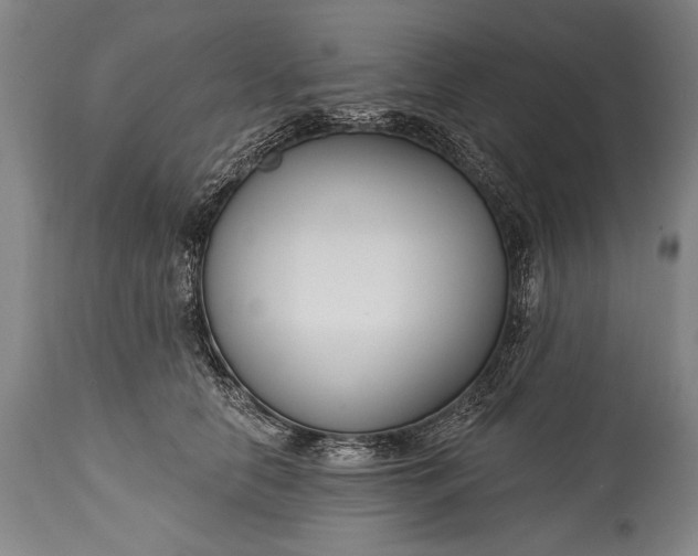 X0000115430658200911181502