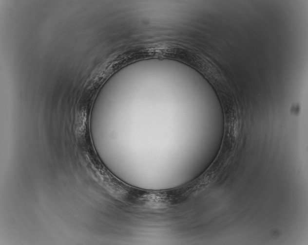 X0000115430660200911181502