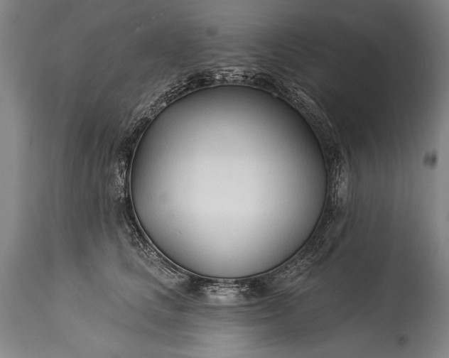 X0000115430661200911181502