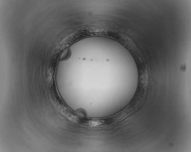 X0000115430662200911181502