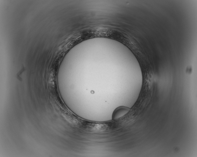 X0000115430663200911181502