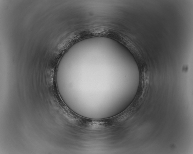 X0000115430664200911181502