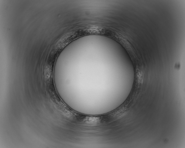 X0000115430665200911181502