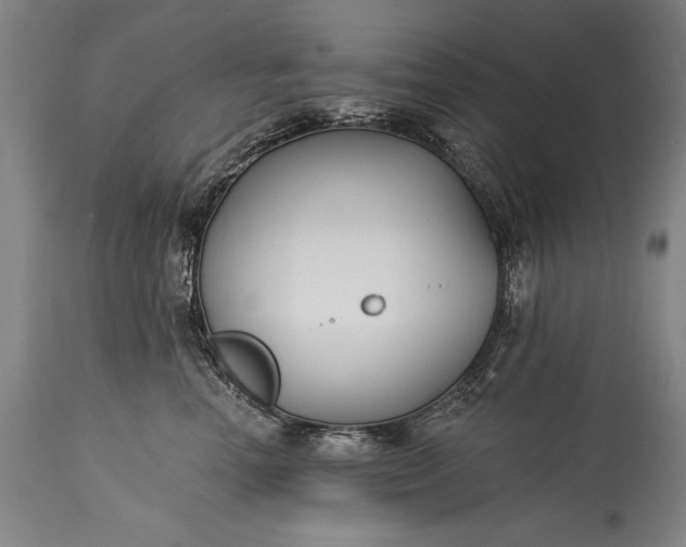 X0000115430666200911181502