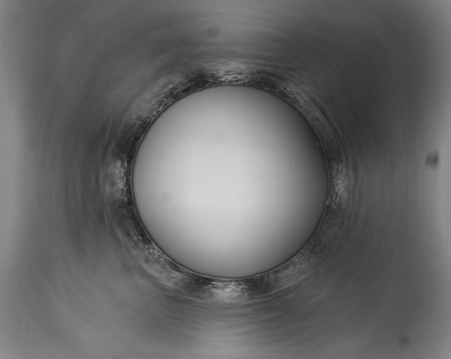 X0000115430667200911181502