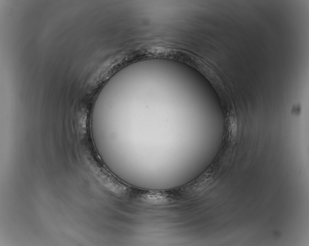 X0000115430668200911181502