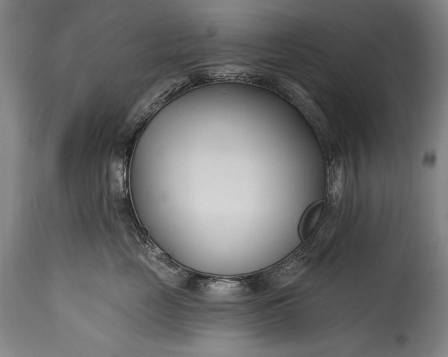 X0000115430669200911181502