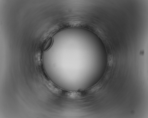 X0000115430670200911181502