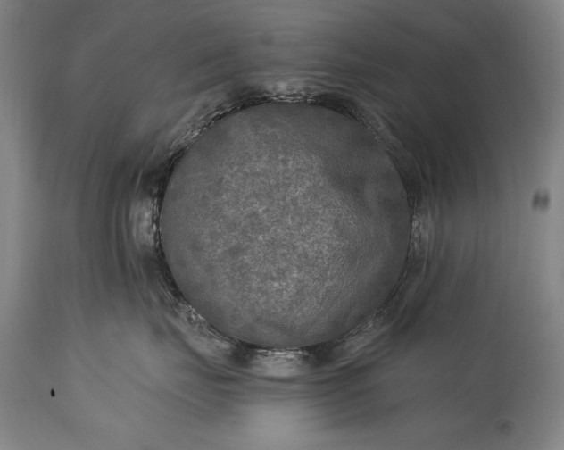 X0000115430671200911181502