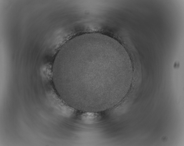 X0000115430672200911181502