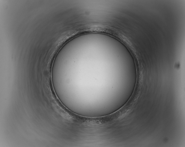 X0000115430673200911181501