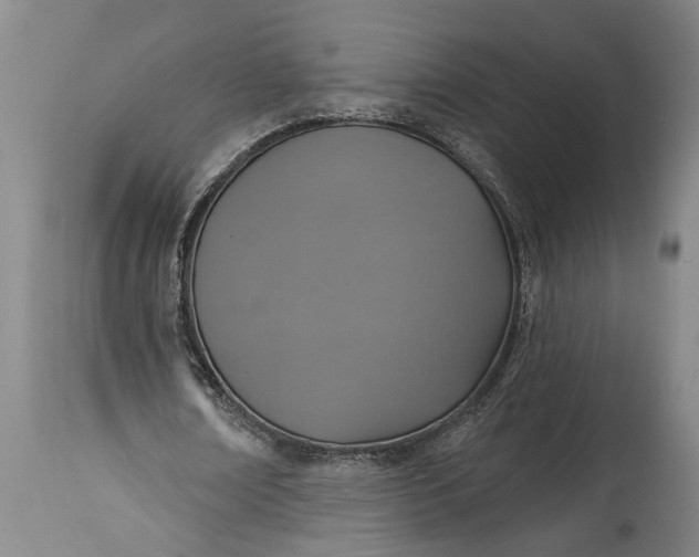 X0000115430674200911181501