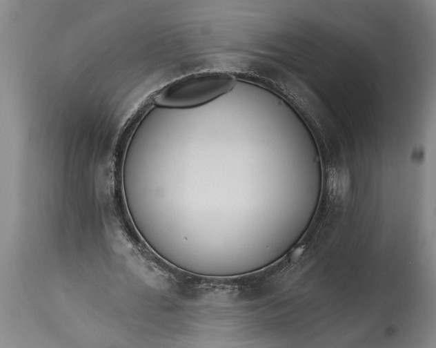 X0000115430676200911181501