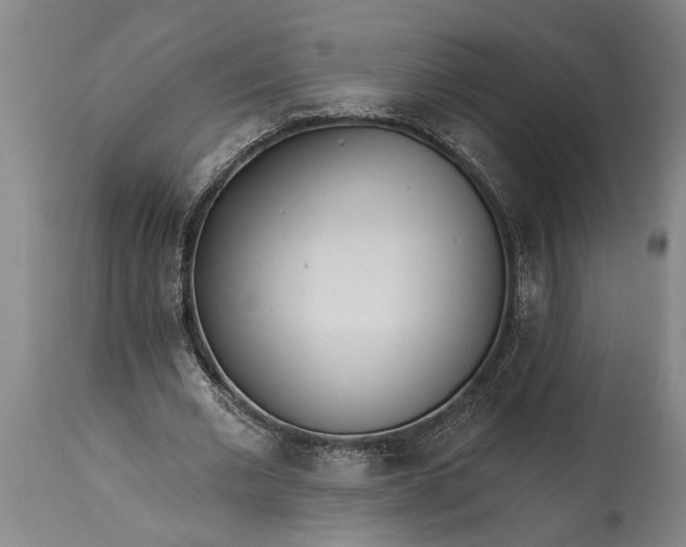 X0000115430677200911181501