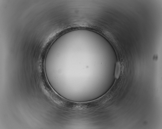 X0000115430680200911181501