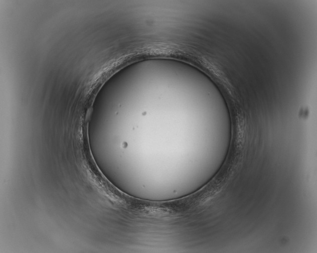 X0000115430681200911181501