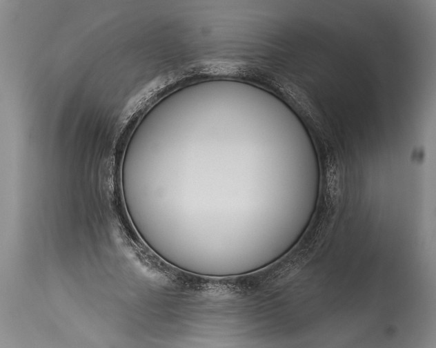 X0000115430682200911181501