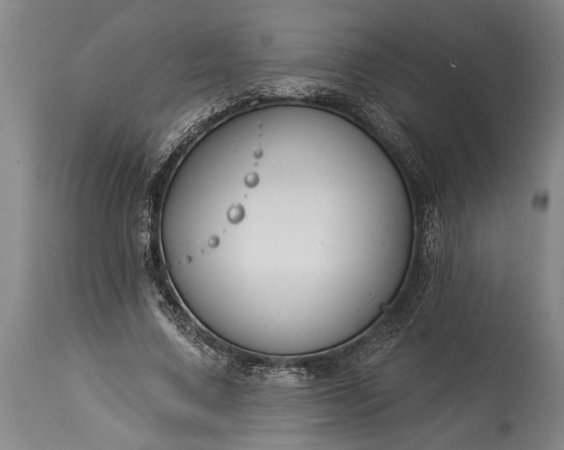 X0000115430683200911181501