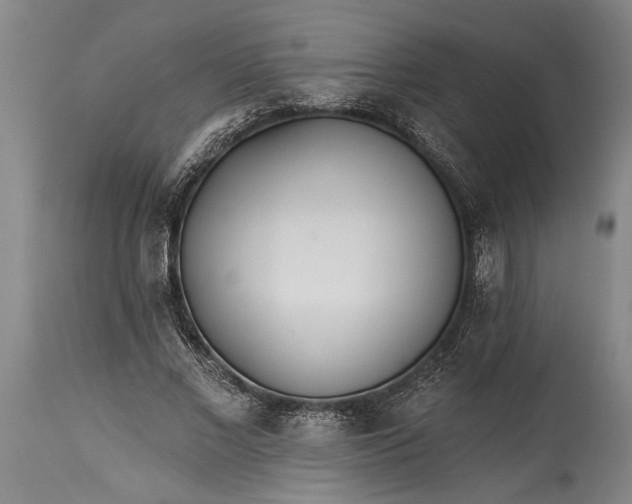 X0000115430685200911181501