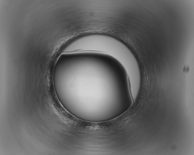 X0000115430688200911181501