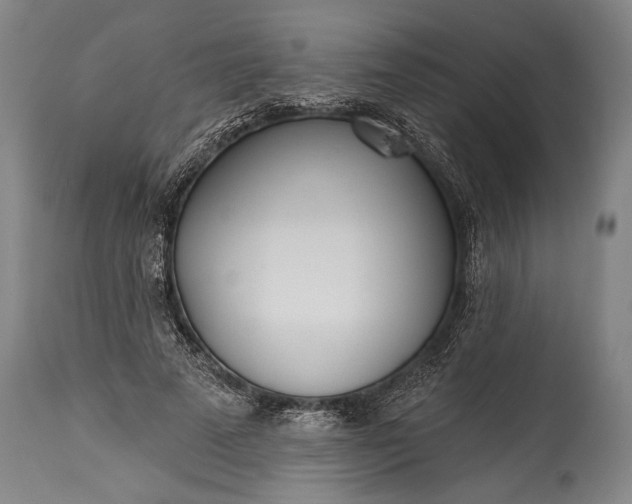 X0000115430689200911181501