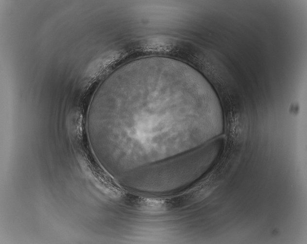 X0000115430692200911181501