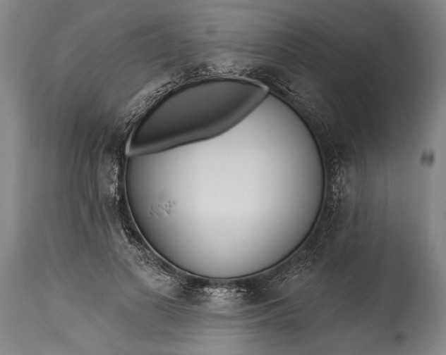 X0000115430693200911181501