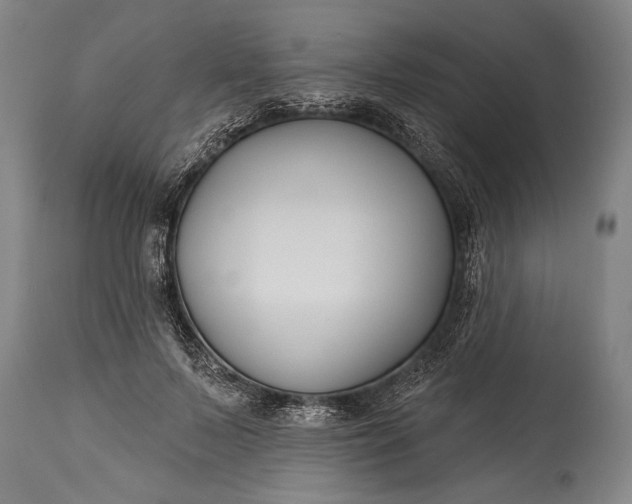 X0000115430695200911181501