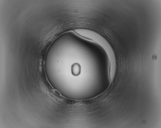 X0000115430696200911181501