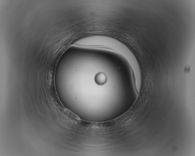 X0000115430697200911181501