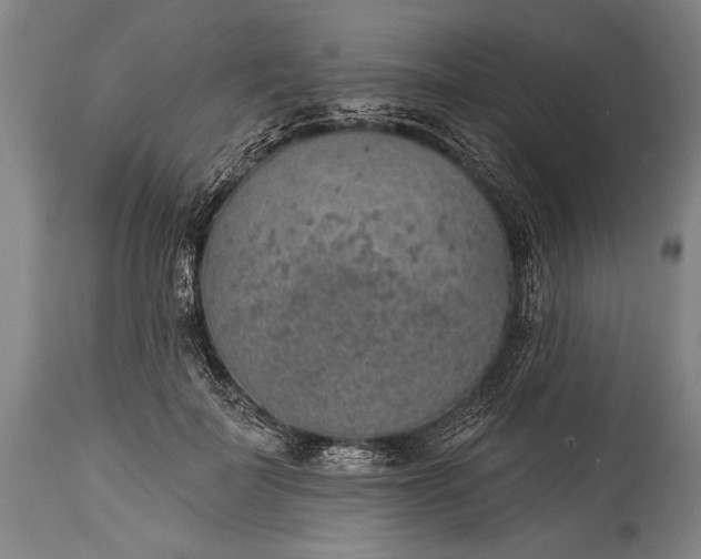 X0000115430699200911181501