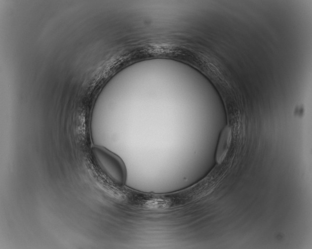 X0000115430700200911181501