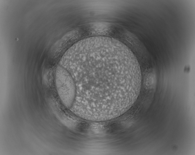 X0000115430701200911181501