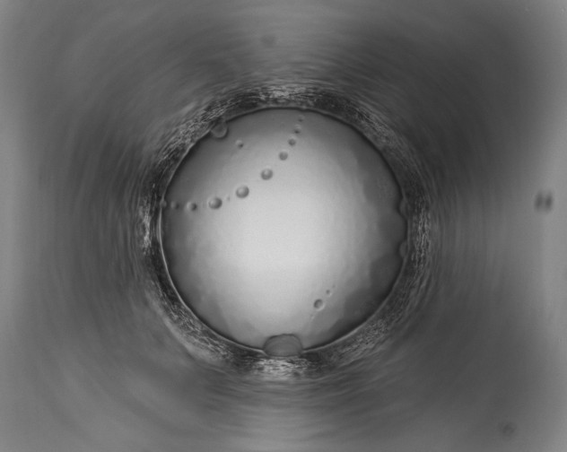 X0000115430703200911181501