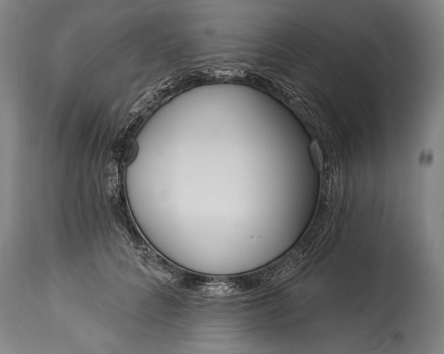 X0000115430704200911181501