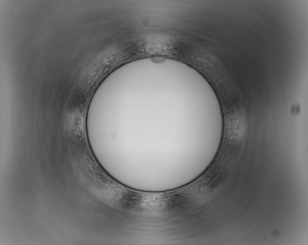 X0000115430705200911181501