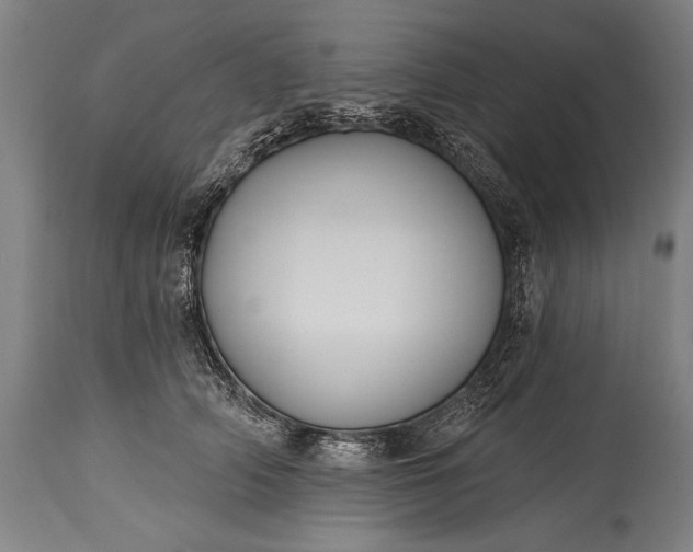 X0000115430706200911181501