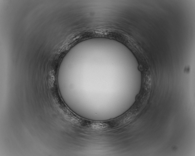 X0000115430707200911181501