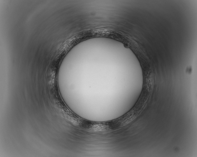 X0000115430708200911181501