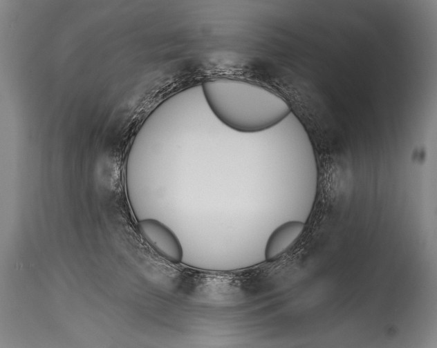 X0000115430709200911181501