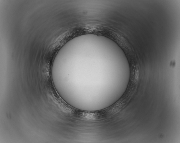 X0000115430710200911181501