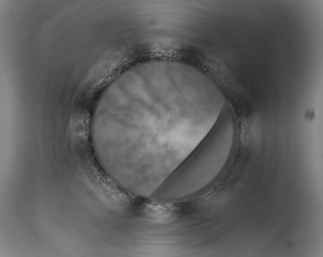 X0000115430712200911181501