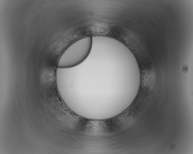 X0000115430713200911181501