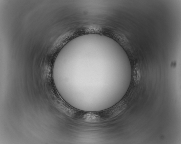 X0000115430714200911181501